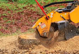 Reliable Highspire, PA Tree Care Solutions